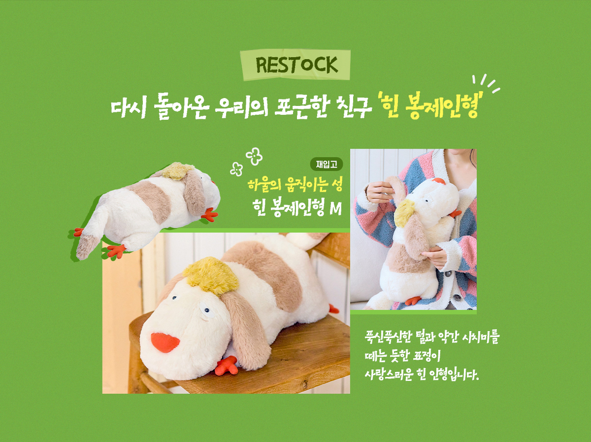 기획전